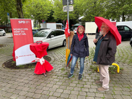 noch ein tristes bild ... aber bald?